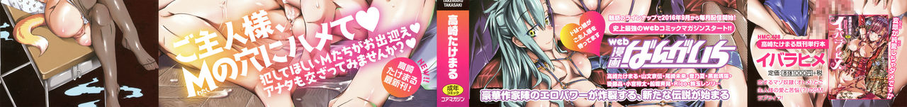MMマテリアル