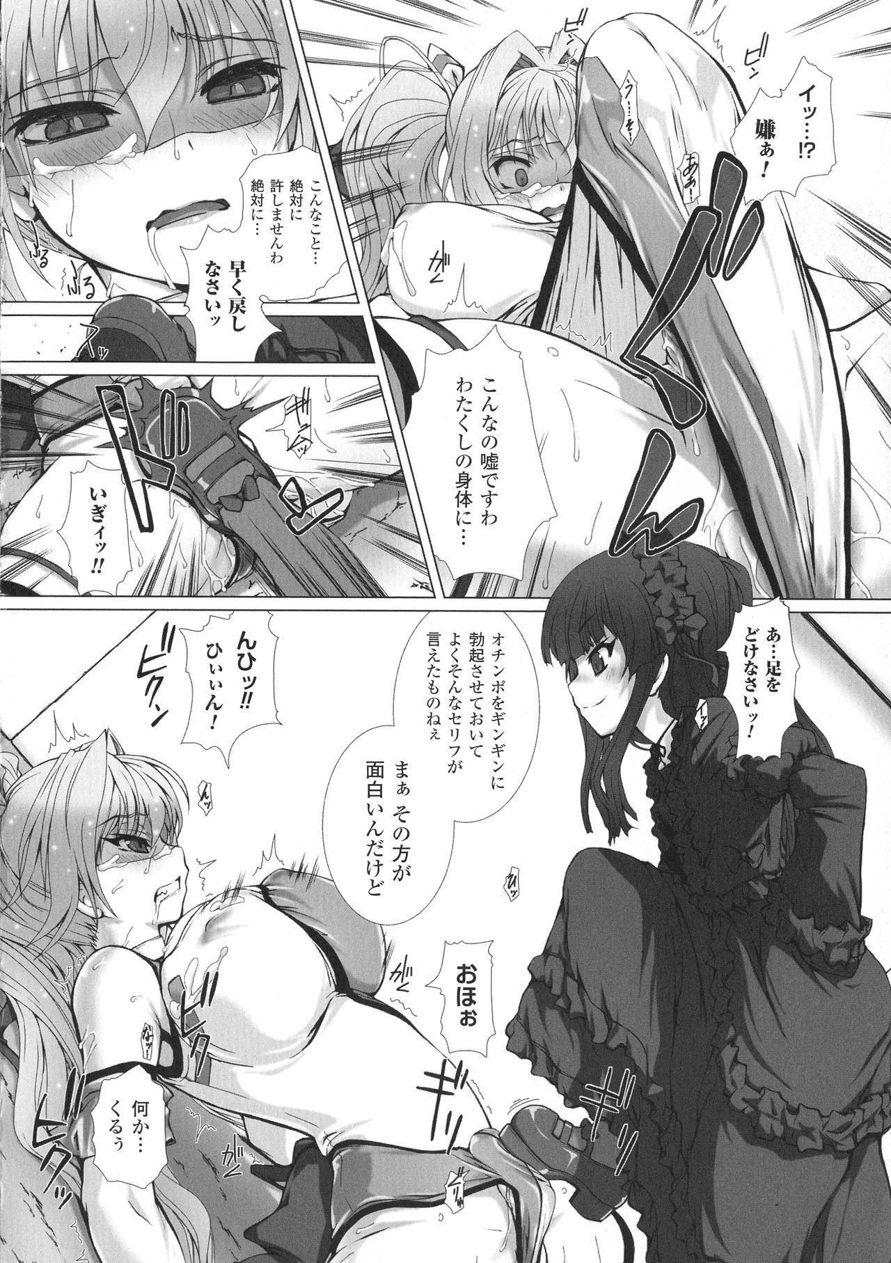 聖霊のヒロインカンゴクファイルDXVol。 8