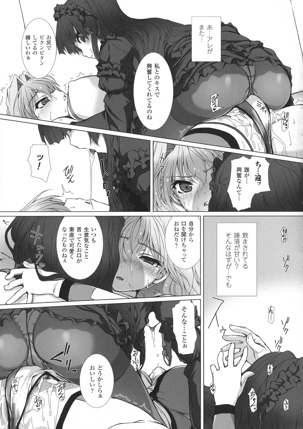 聖霊のヒロインカンゴクファイルDXVol。 8