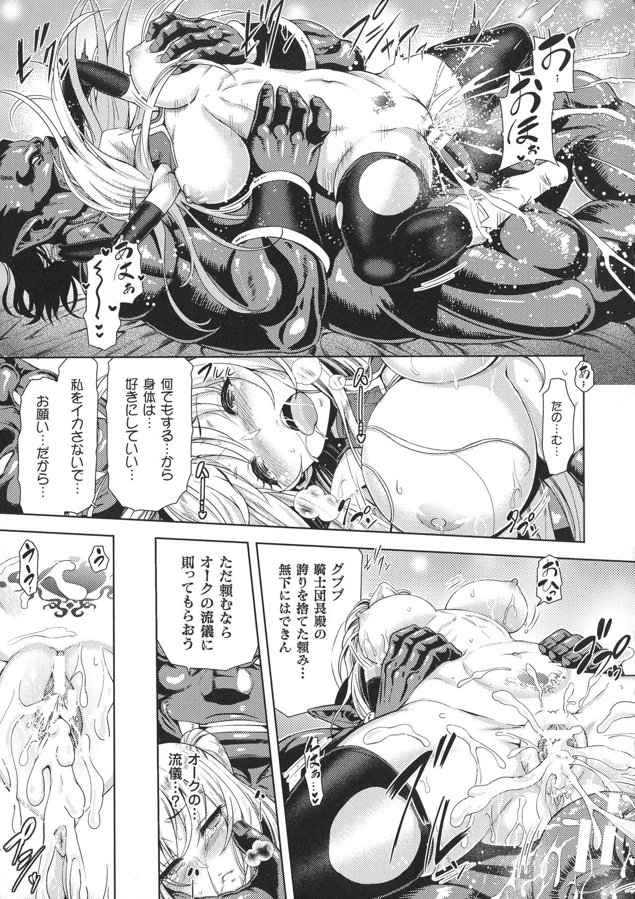 聖霊のヒロインカンゴクファイルDXVol。 8