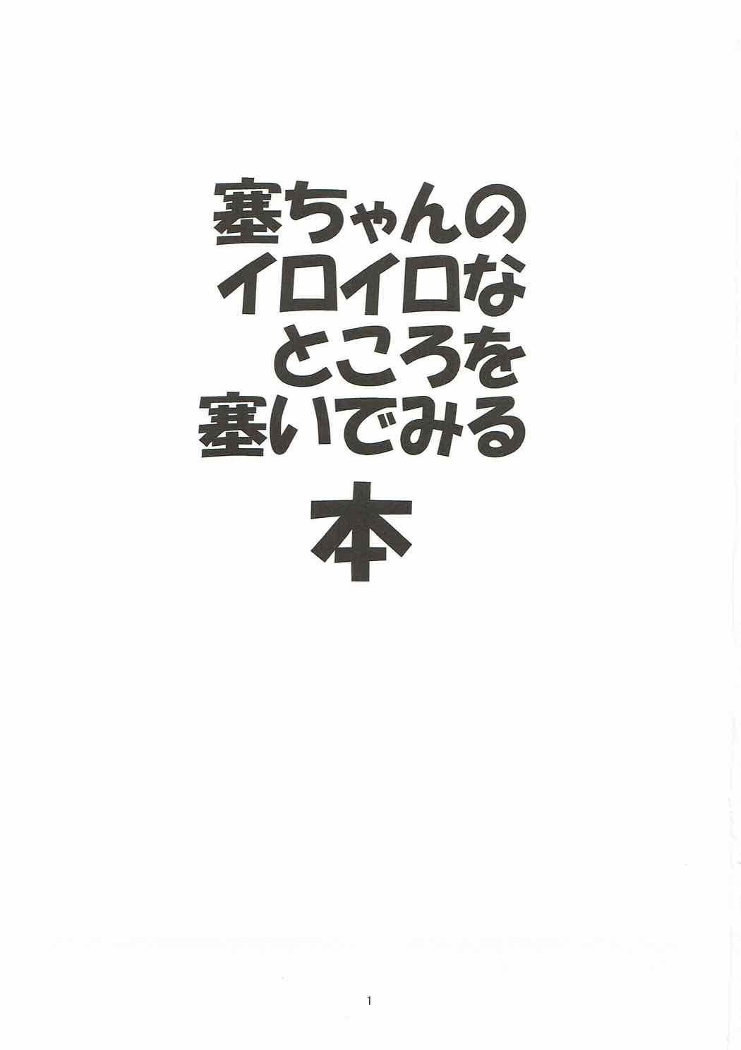 冴ちゃんのいろいろなところをふさいでみる本