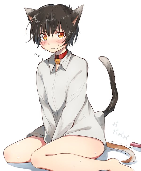 のらねこと雨の日{翔太ちゃん}