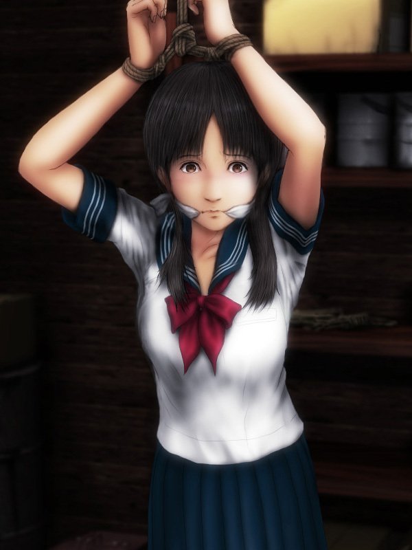 H.S.C.イラスト集Ex.4