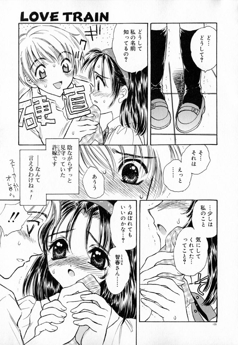 明流のバラ