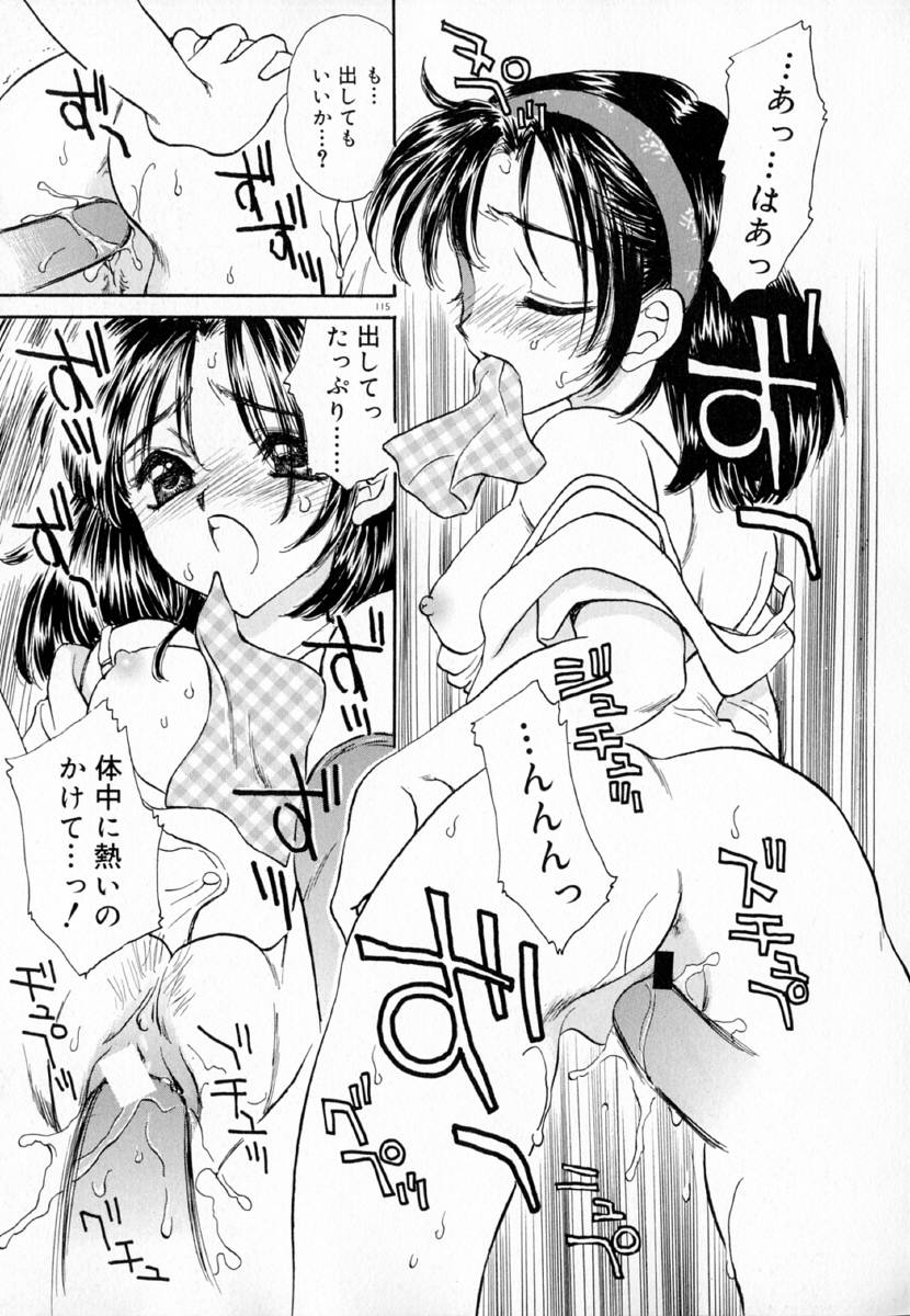 明流のバラ