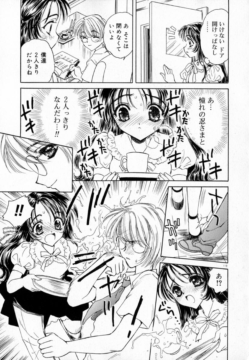 明流のバラ