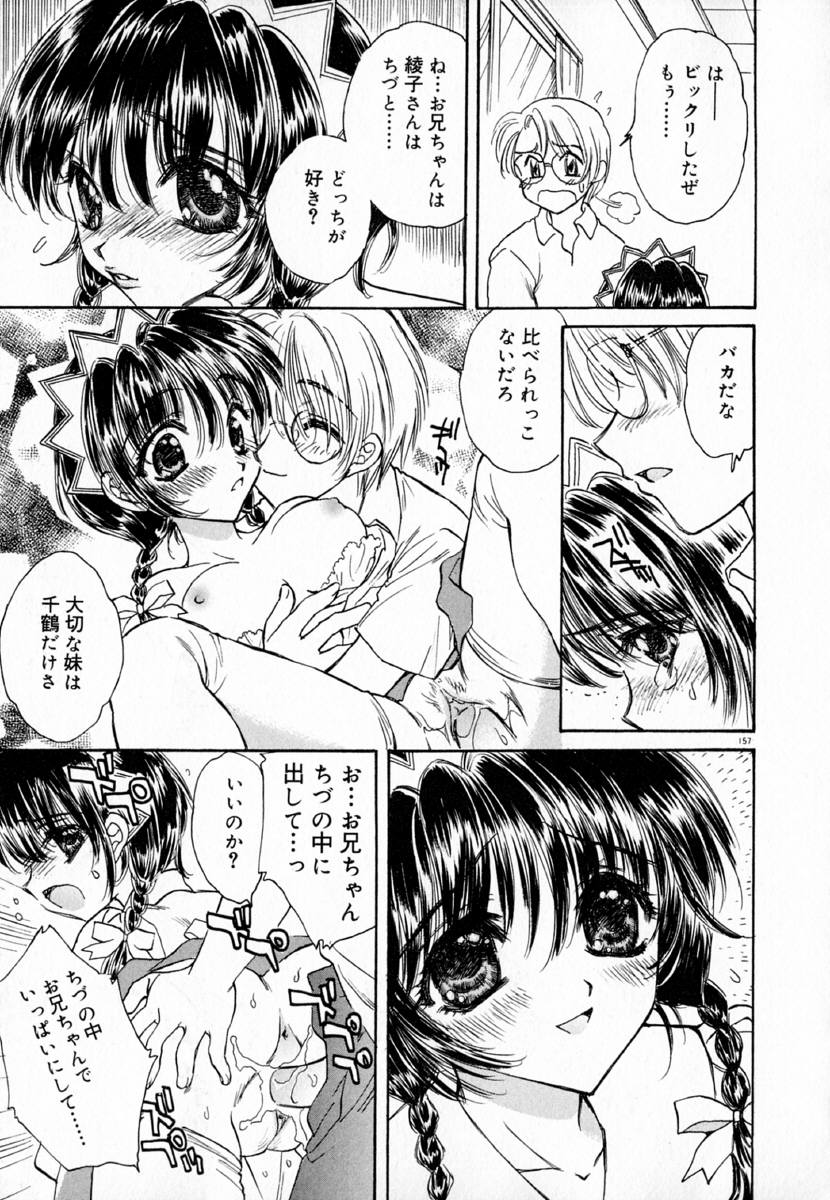 明流のバラ