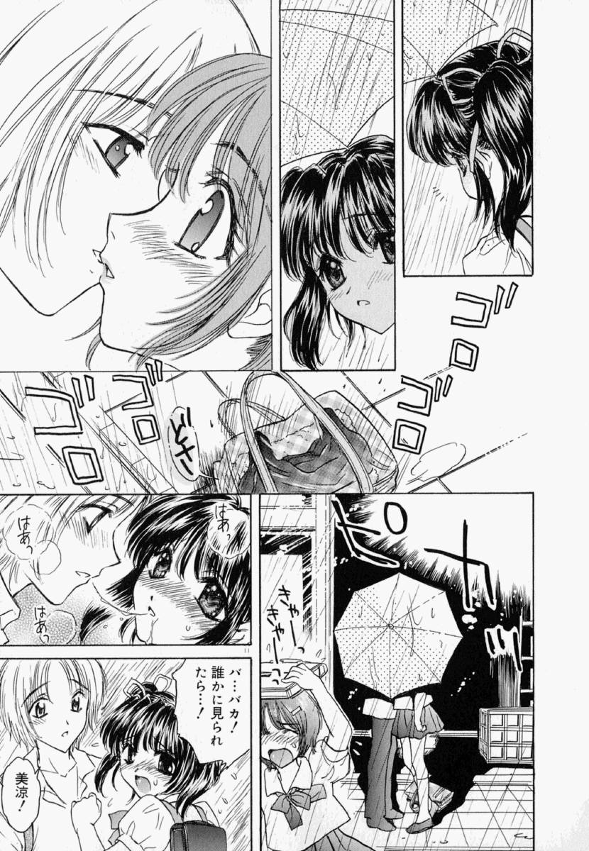 明流のバラ
