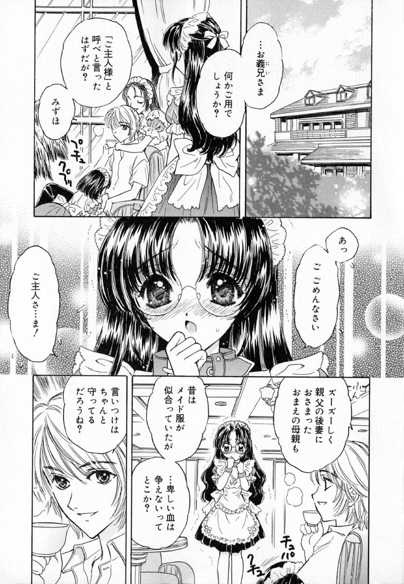 明流のバラ