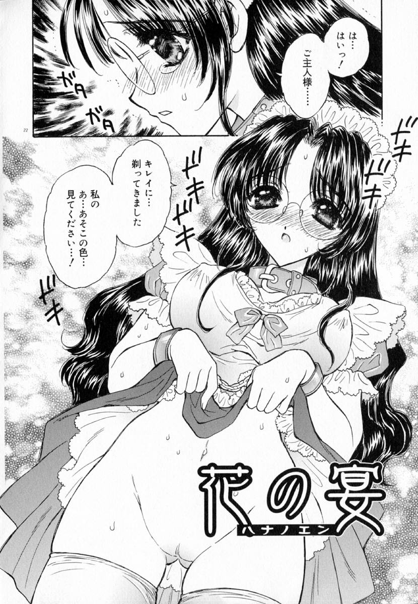 明流のバラ