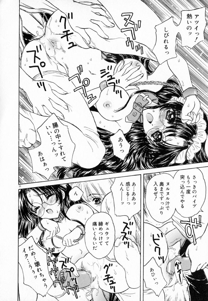 明流のバラ