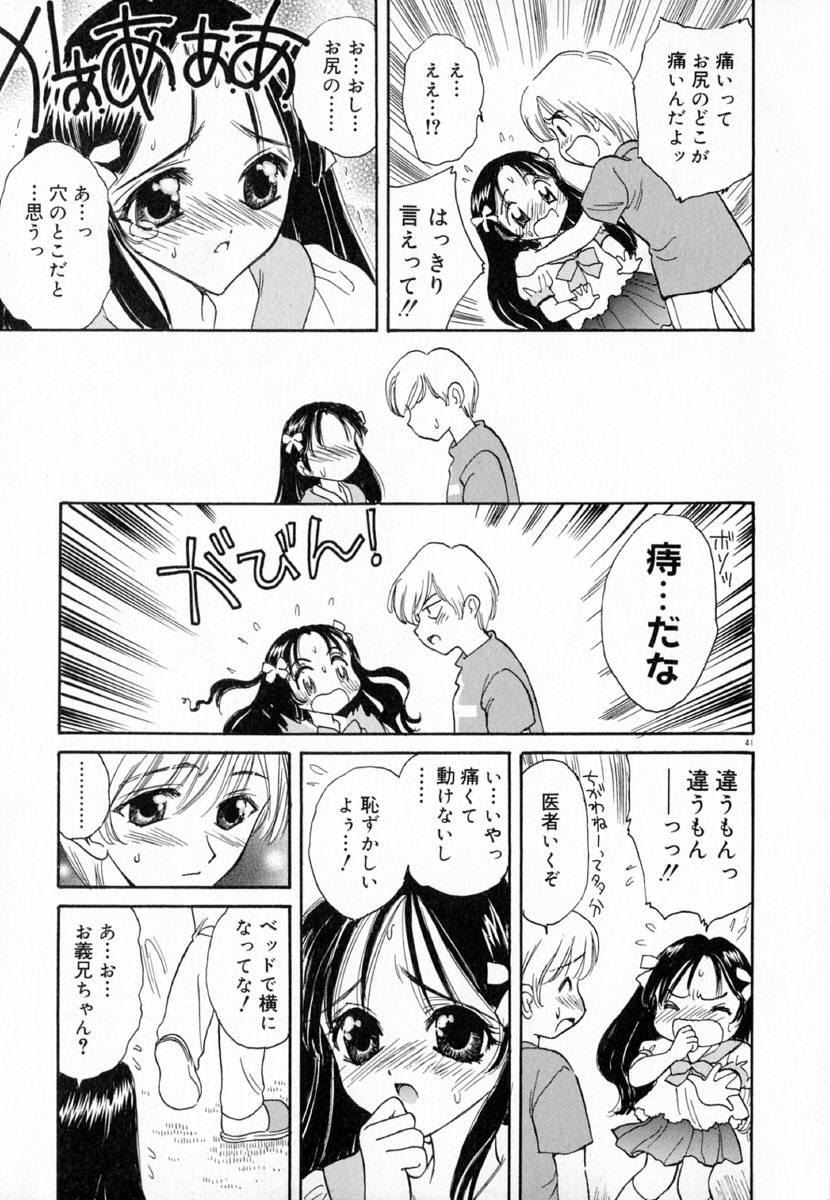 明流のバラ