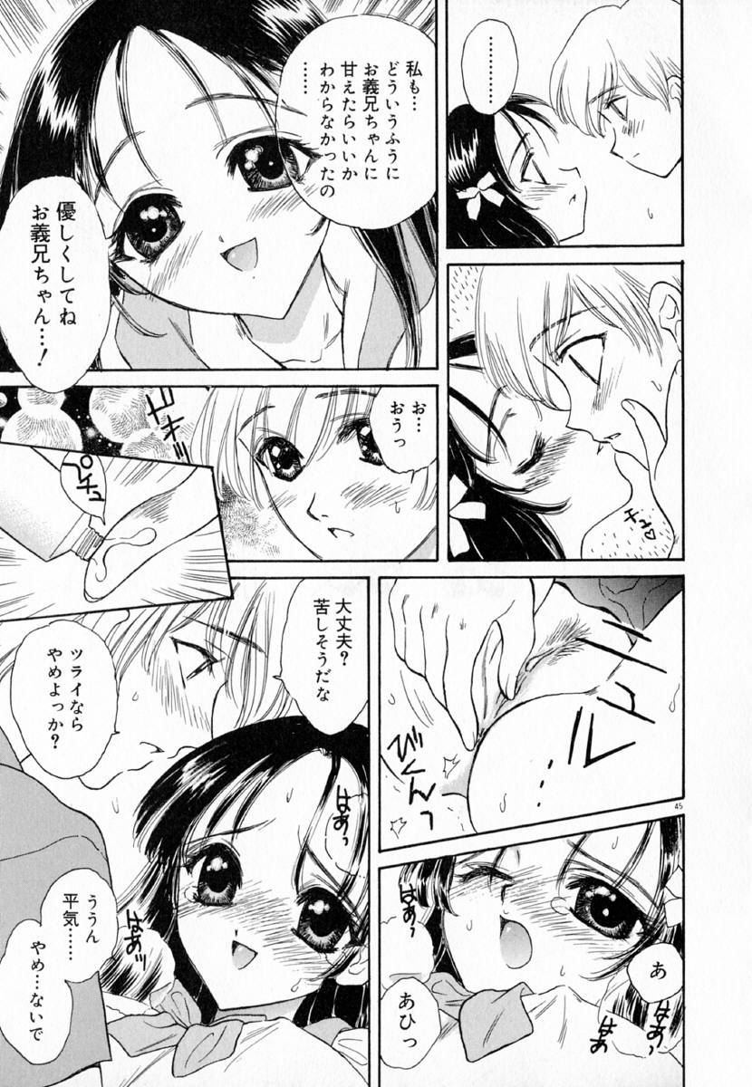 明流のバラ