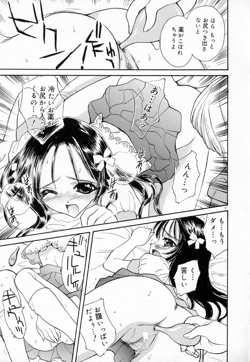 明流のバラ