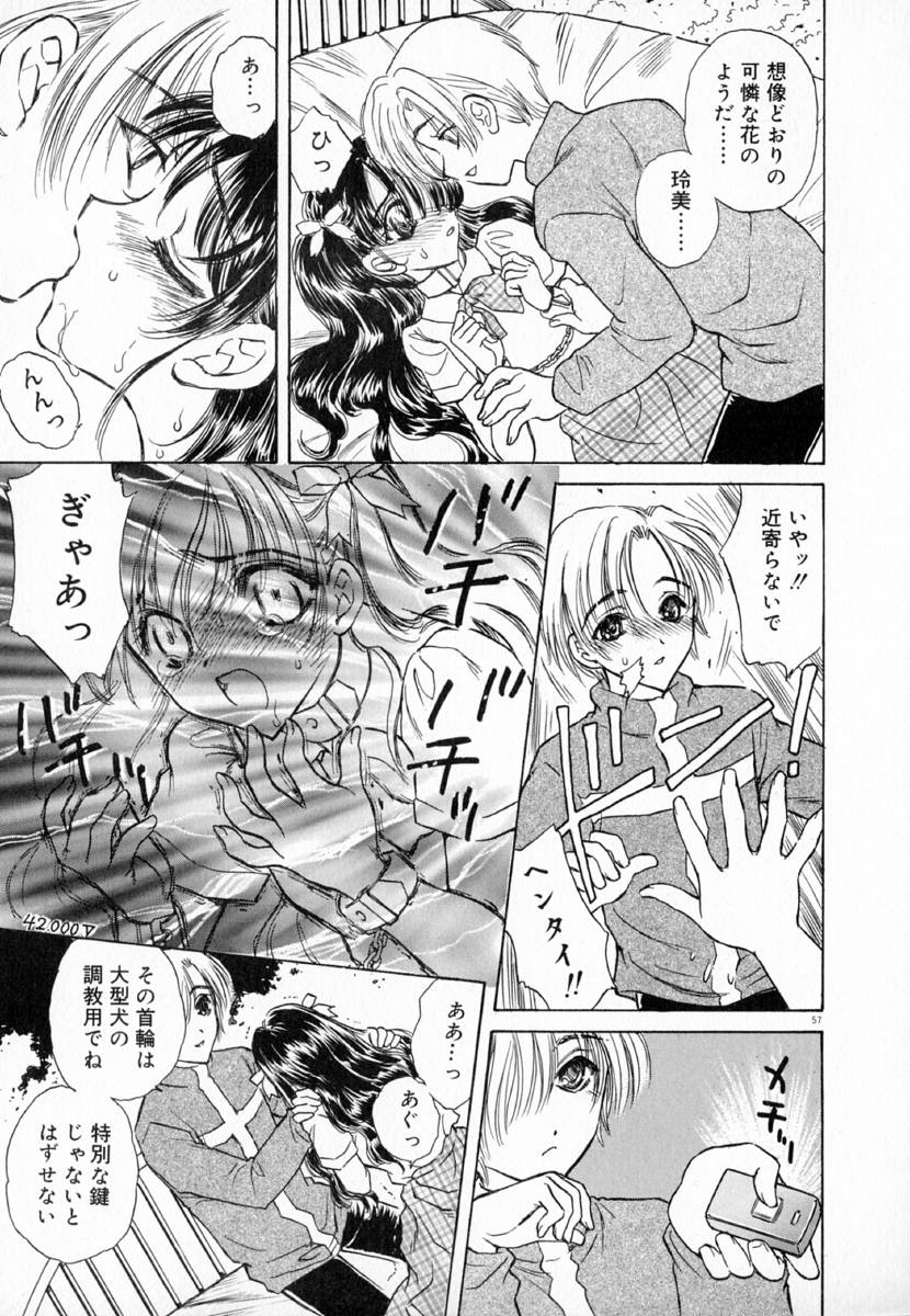 明流のバラ