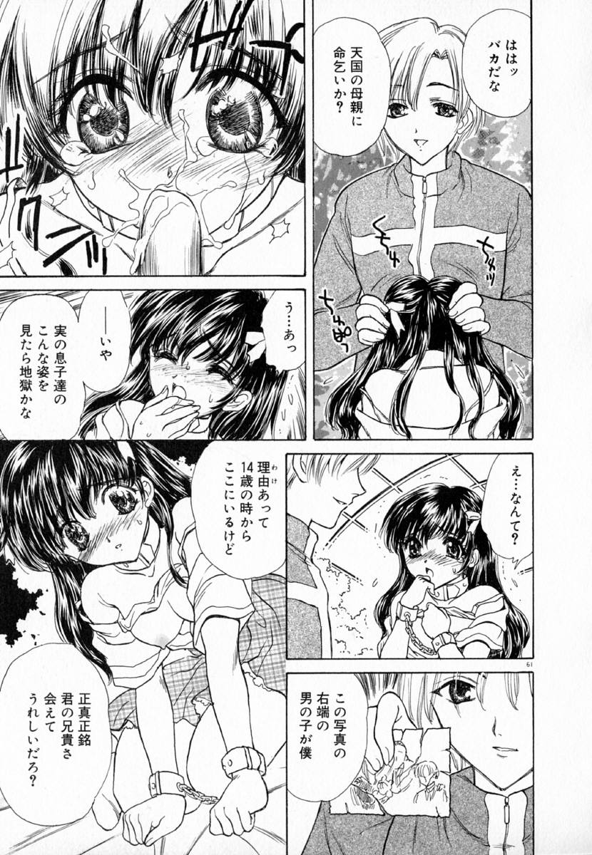 明流のバラ