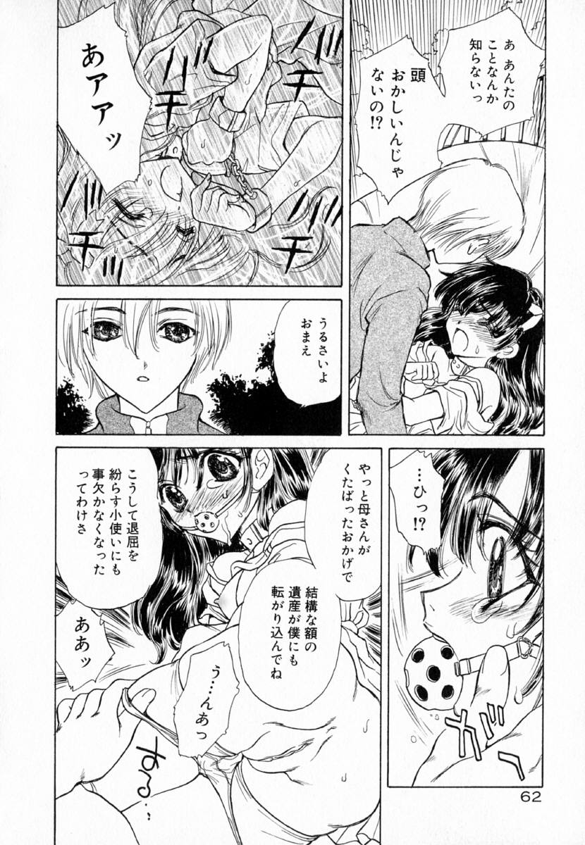明流のバラ