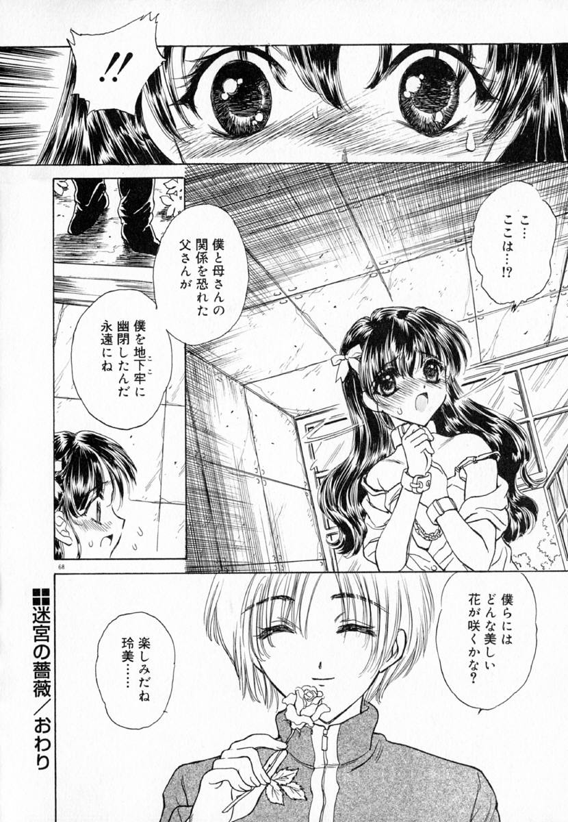 明流のバラ