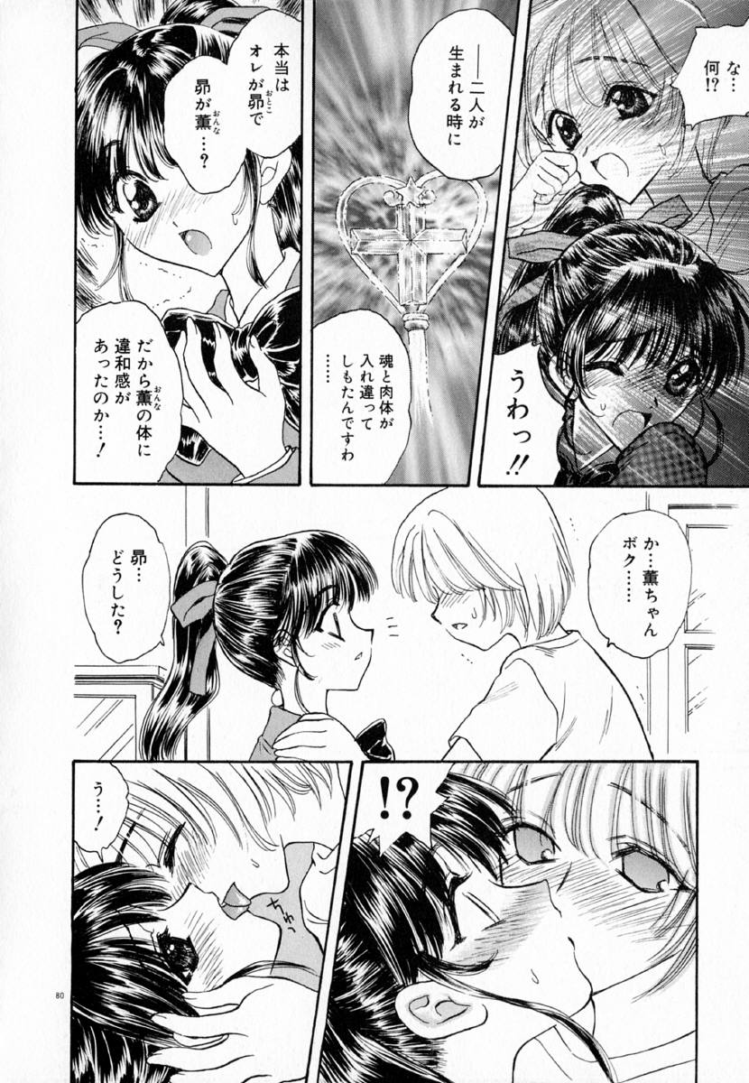 明流のバラ