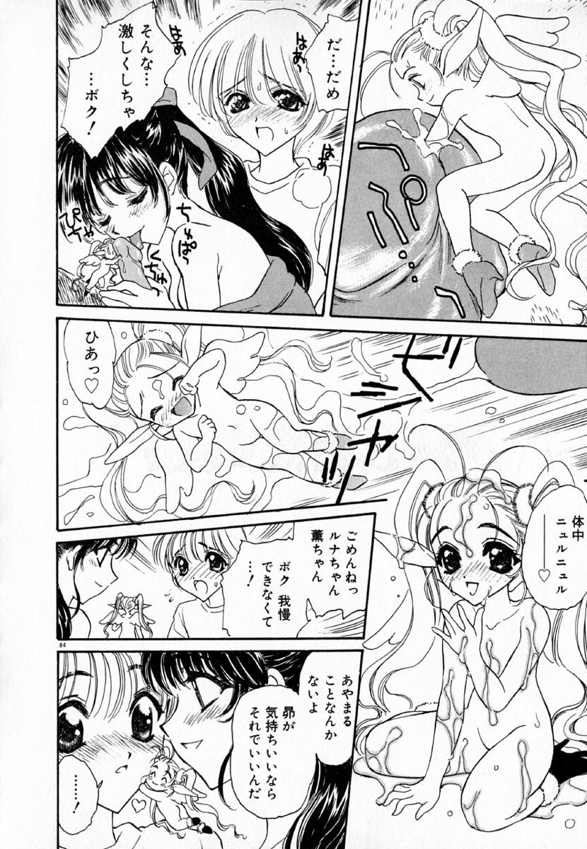 明流のバラ