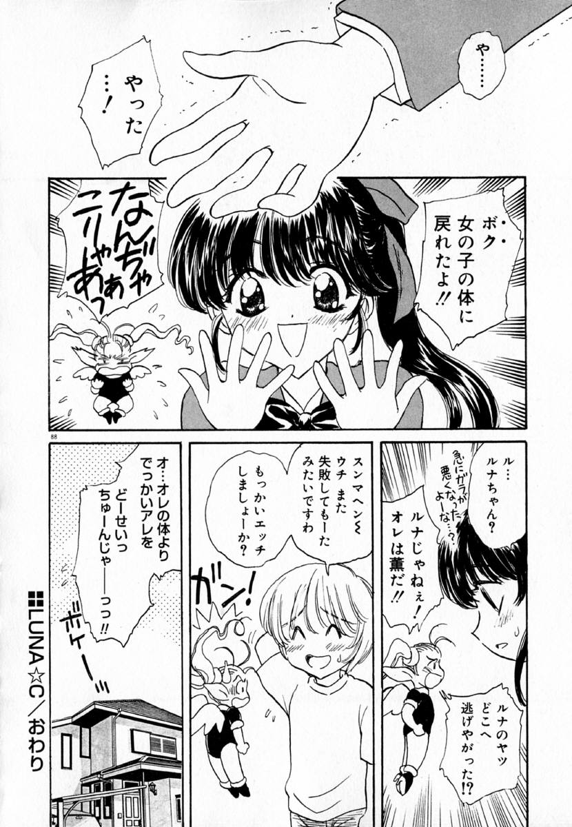 明流のバラ