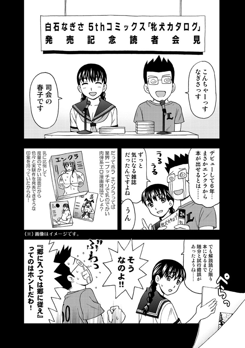 Mesuinuカタログ長陽Inpu