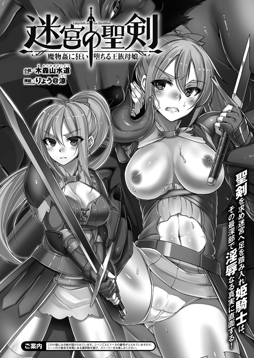 2Dドリームマガジン2015-12Vol。 85