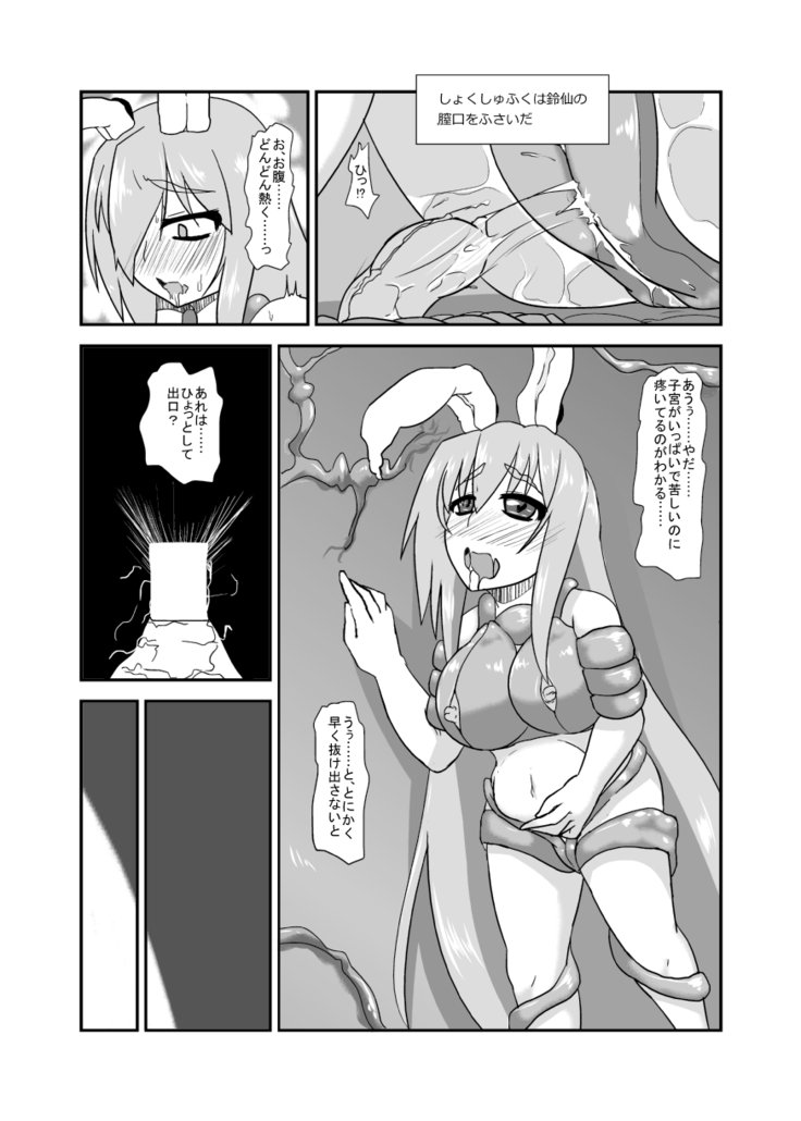 うさぎなえどこ