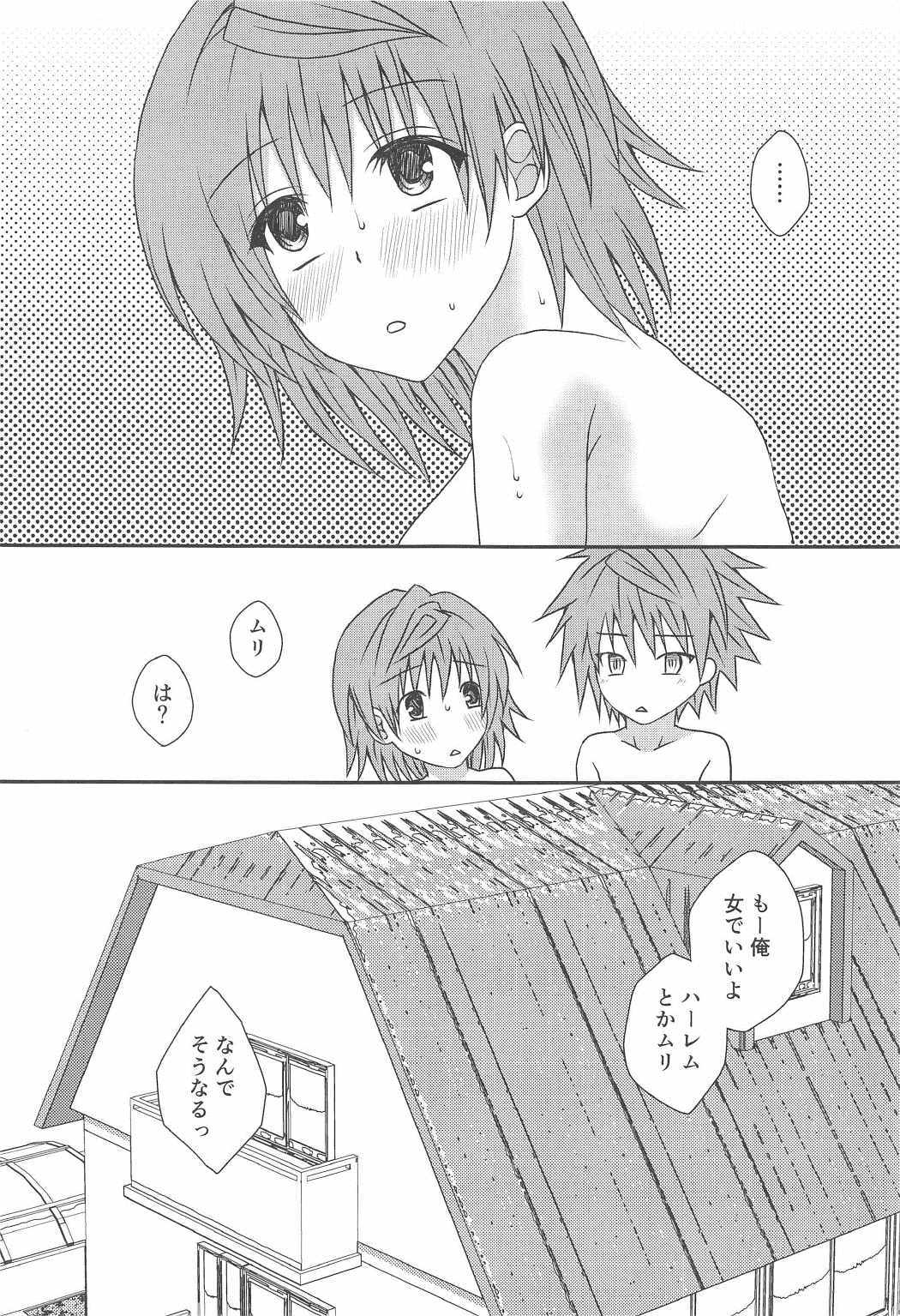 星がりこ