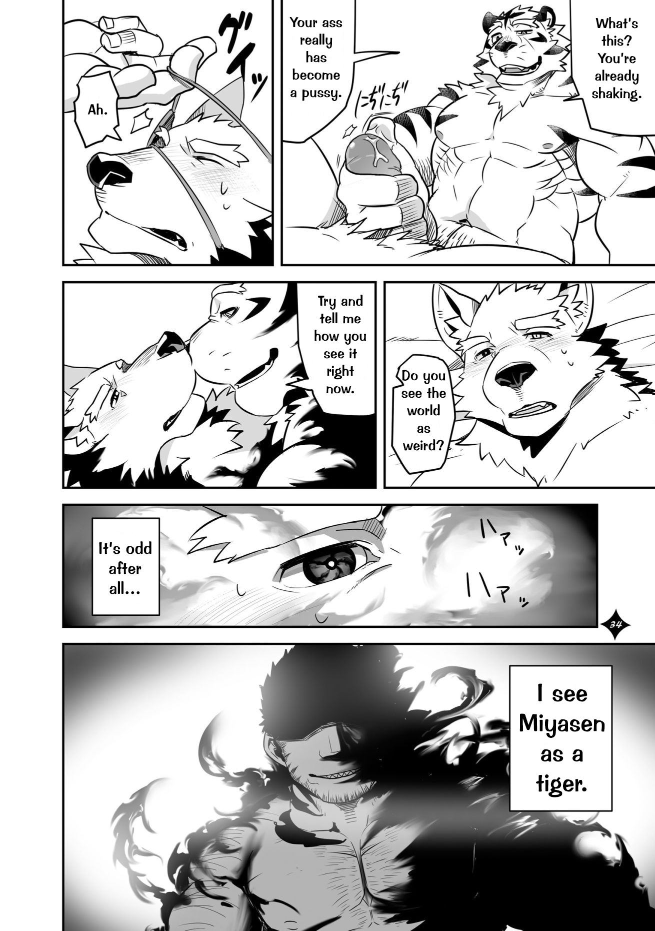 けものさん症候群〜十二症候群〜