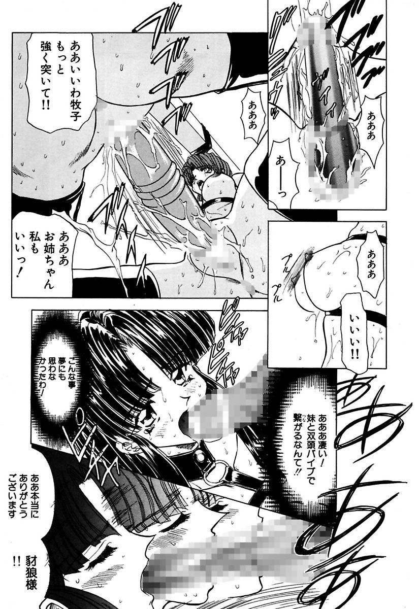 マロカニンのベスト