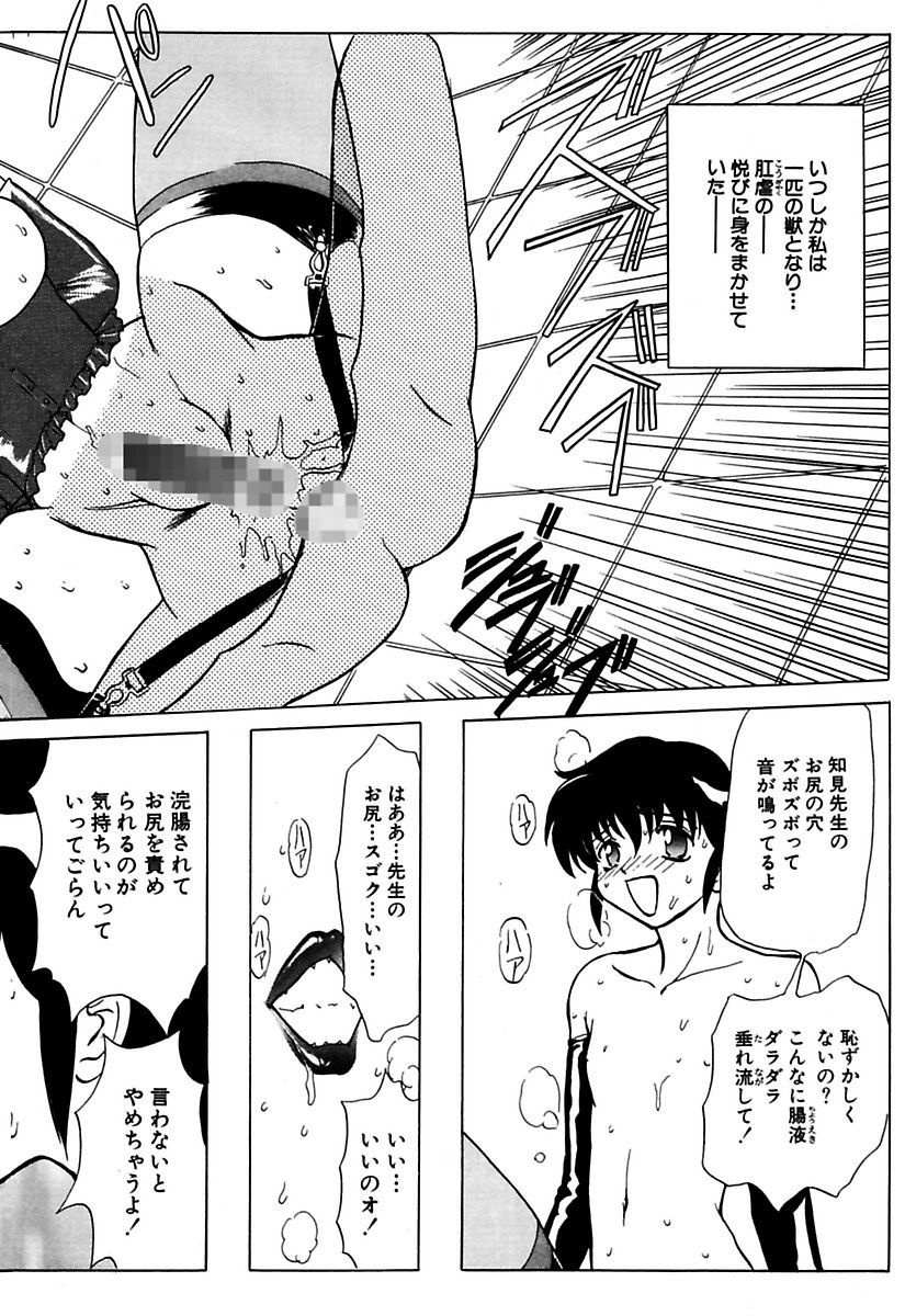 マロカニンのベスト