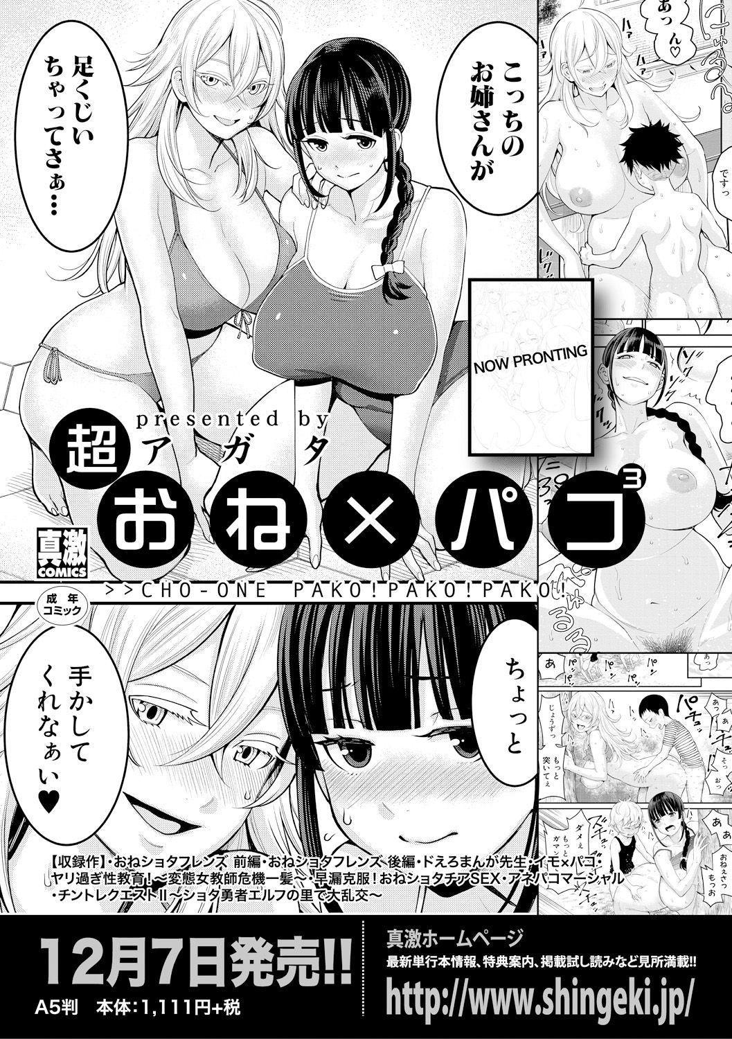 COMIC 真激 2019年2月号 [DL版]