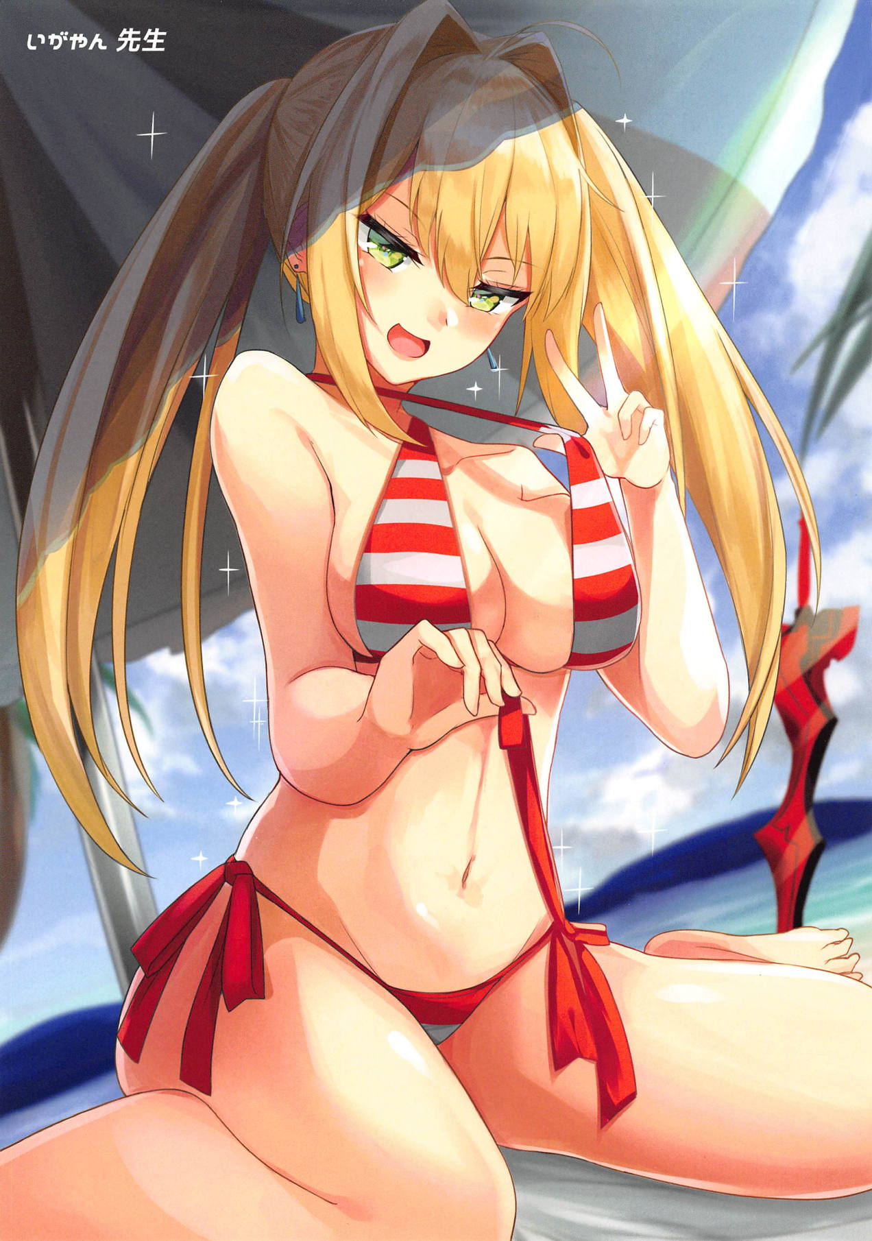(C95) [まいむ～まいむ (九童まいむ)] ぬぎネロ (Fate/Grand Order)