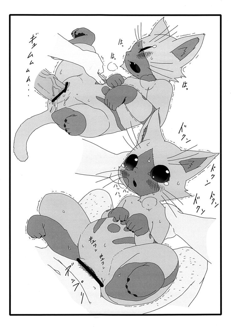 夜の乙女にあいろうを。