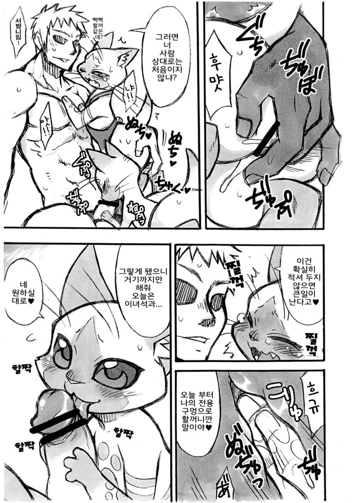 夜の乙女にあいろうを。