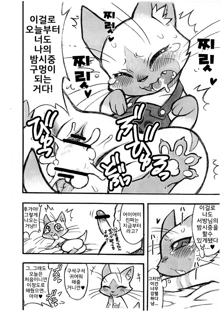 夜の乙女にあいろうを。