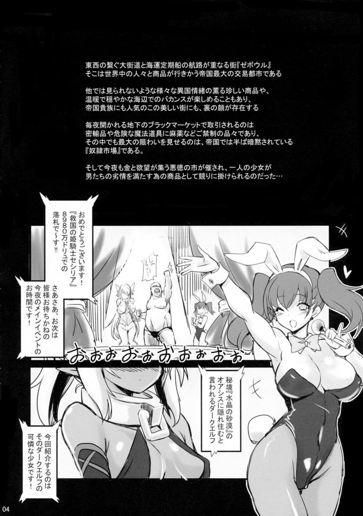 ドレイ四条のダークエルフ