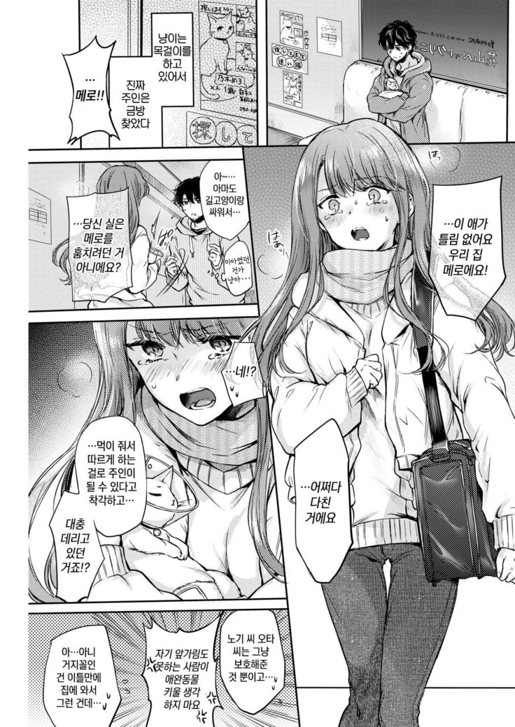 ねこなでこい
