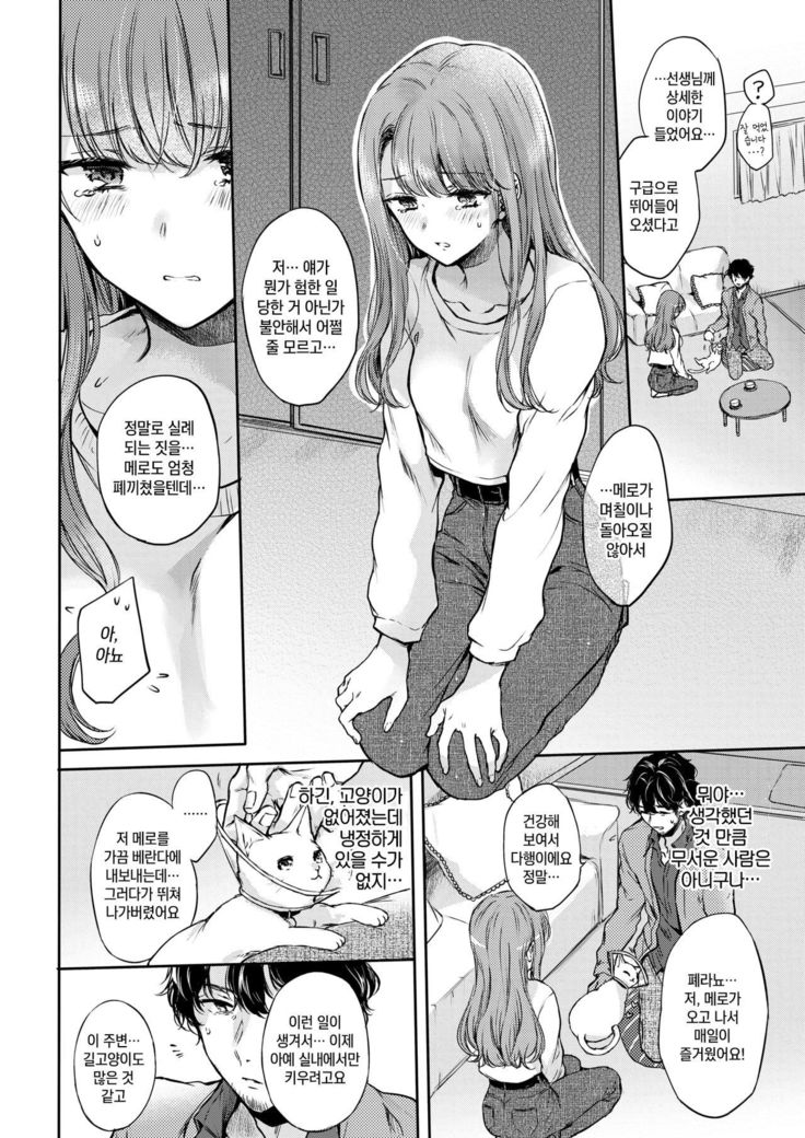ねこなでこい