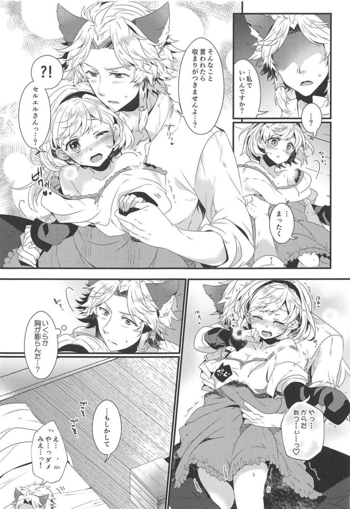 ダンチョウさんからイレスティルへ！