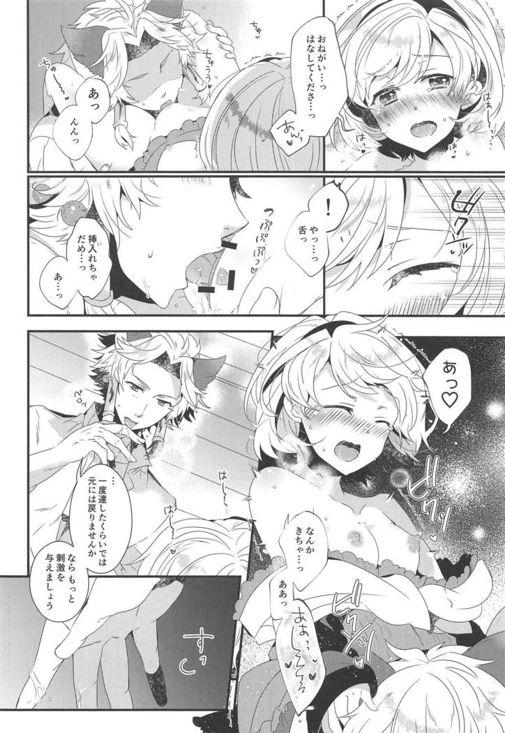 ダンチョウさんからイレスティルへ！