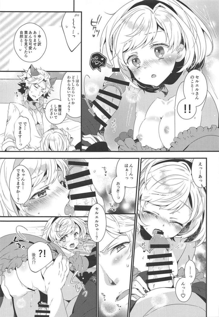 ダンチョウさんからイレスティルへ！