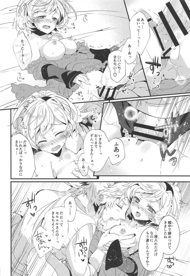 ダンチョウさんからイレスティルへ！