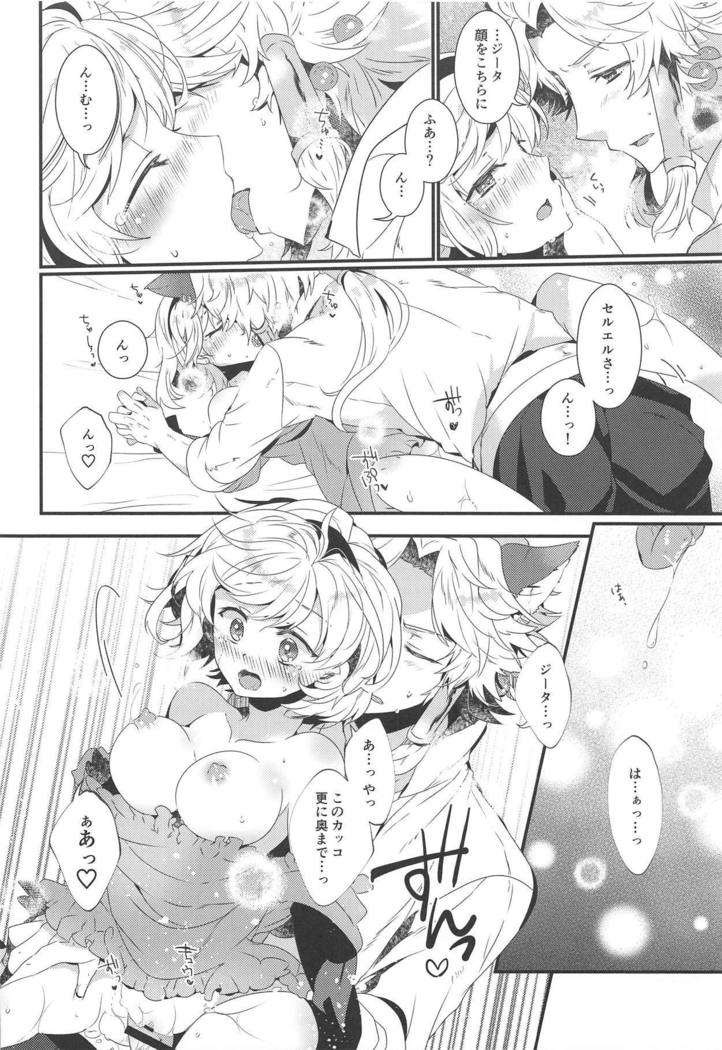 ダンチョウさんからイレスティルへ！