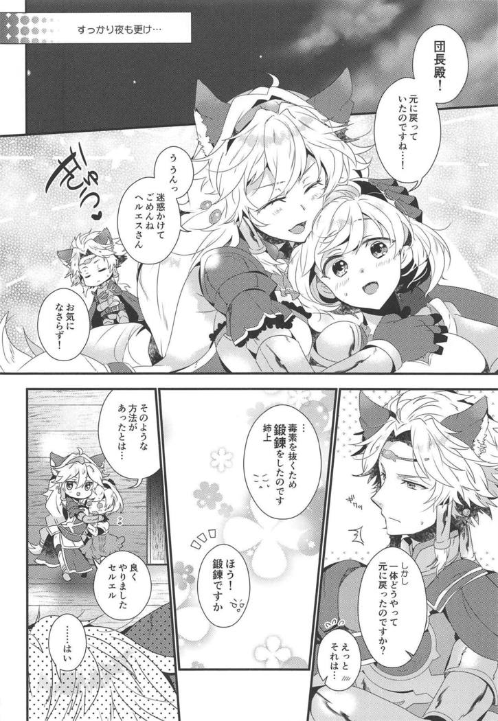 ダンチョウさんからイレスティルへ！