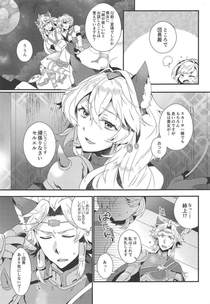 ダンチョウさんからイレスティルへ！