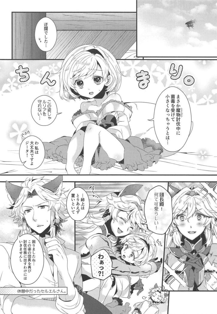 ダンチョウさんからイレスティルへ！