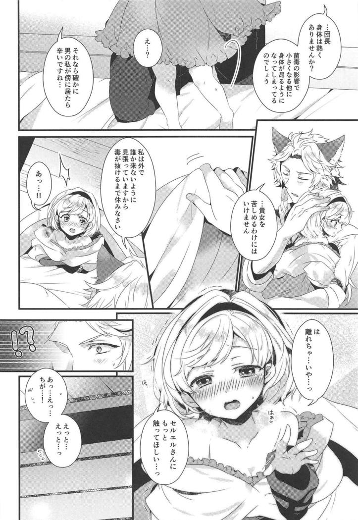 ダンチョウさんからイレスティルへ！