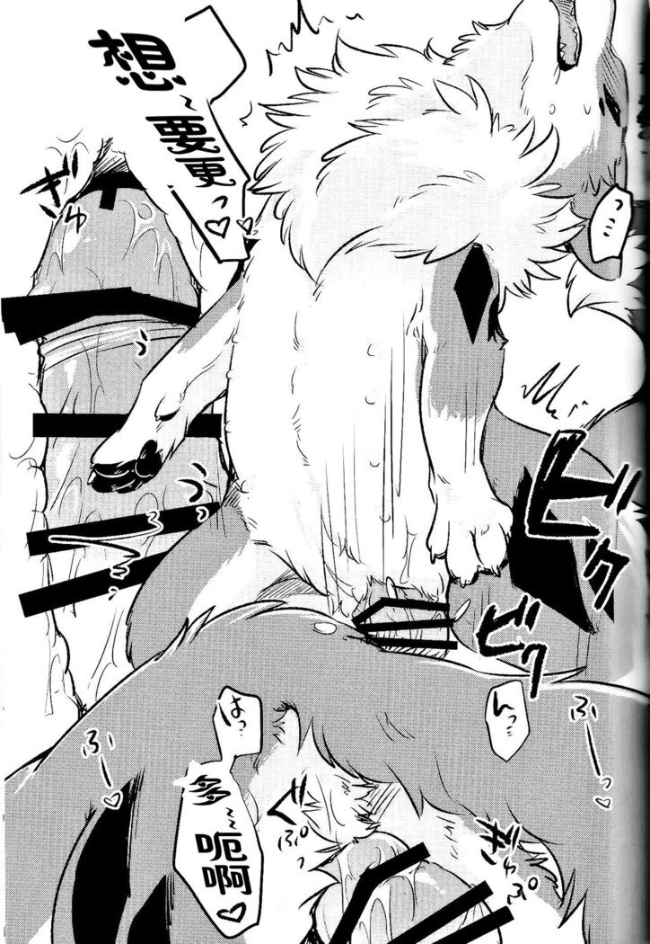 きつねぬにのまそ！？ |让狐犬喝酒！？